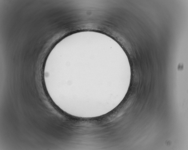 X0000102820625200809151016