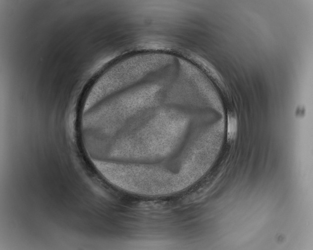 X0000102820627200809151016