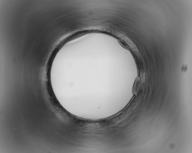 X0000102820628200809151016