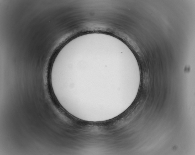 X0000102820629200809151016