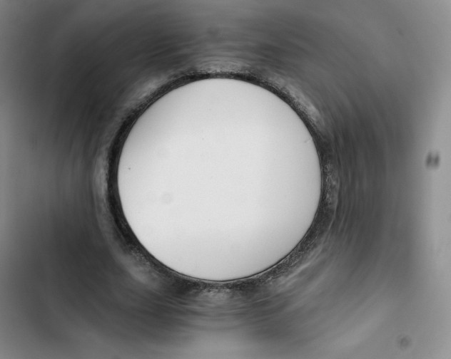 X0000102820631200809151016