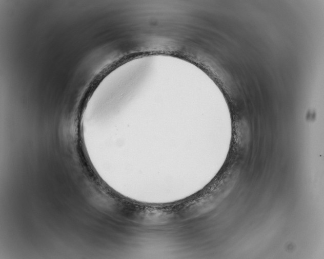 X0000102820632200809151016
