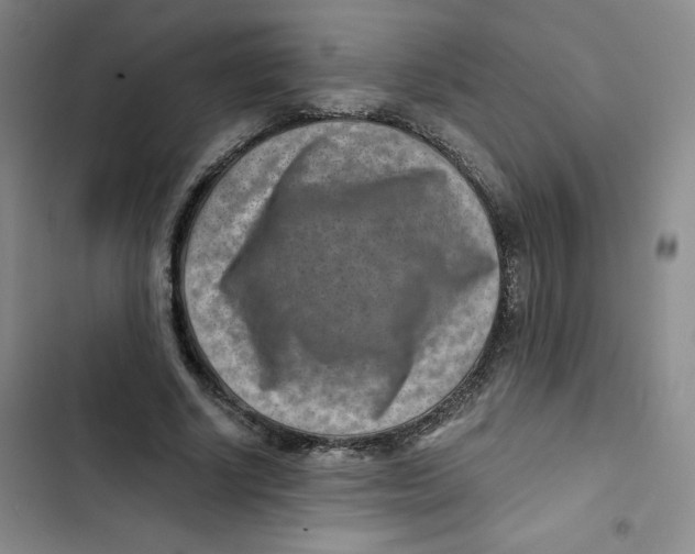 X0000102820634200809151016