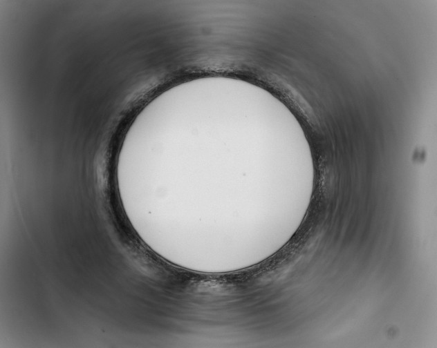 X0000102820635200809151016