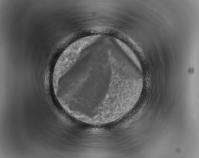 X0000102820637200809151016