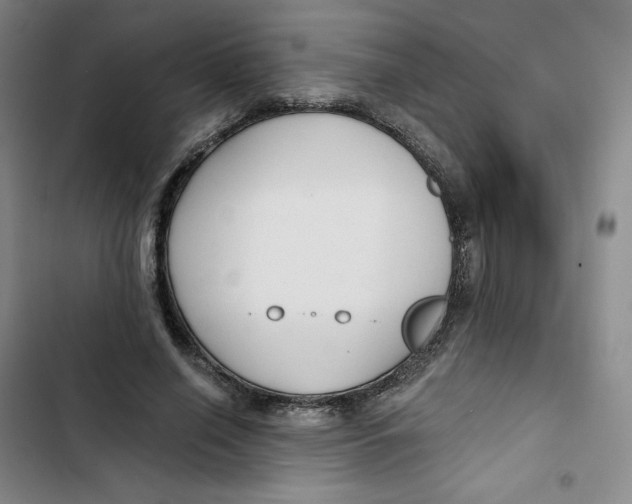X0000102820638200809151016