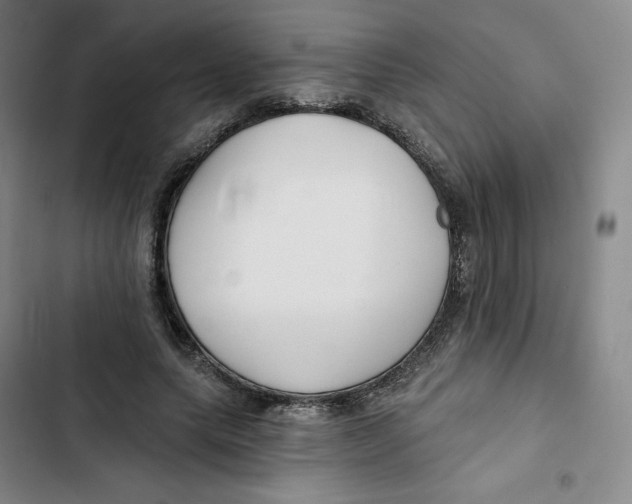 X0000102820639200809151016