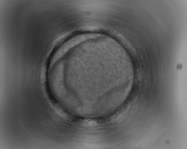 X0000102820640200809151016