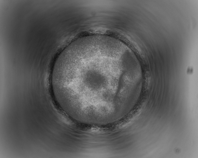 X0000102820641200809151016