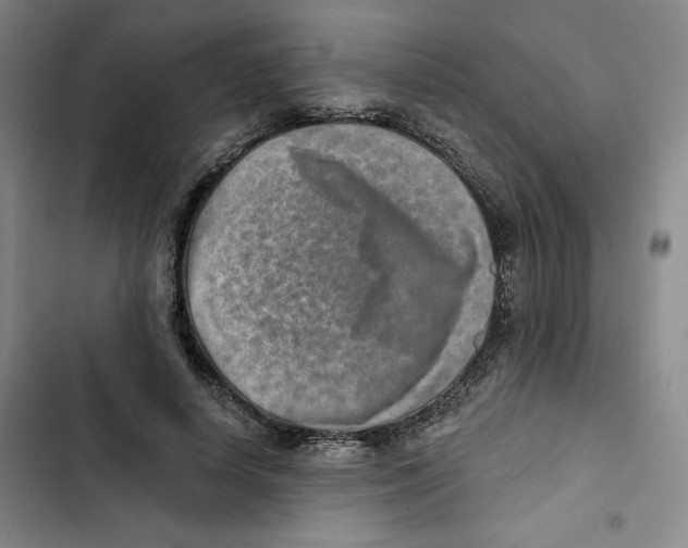 X0000102820642200809151016