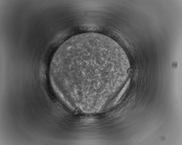 X0000102820643200809151016