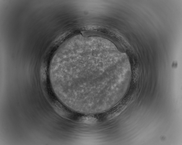 X0000102820644200809151016