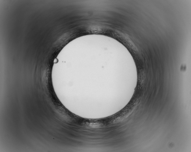 X0000102820645200809151016