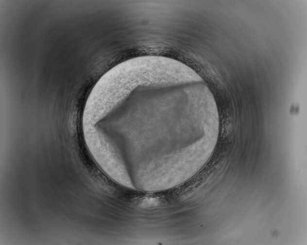 X0000102820647200809151016