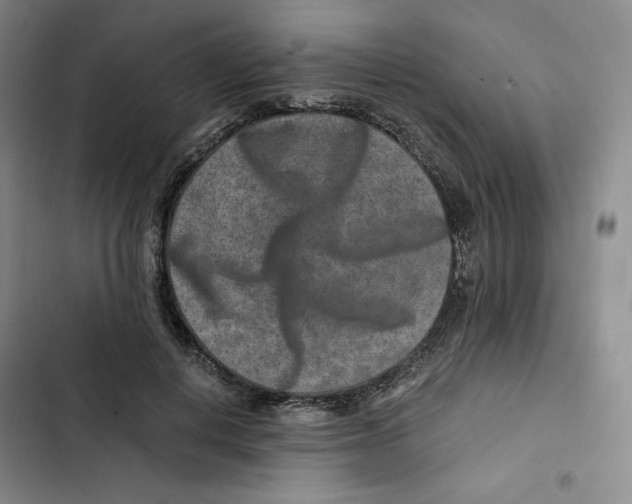X0000102820648200809151016