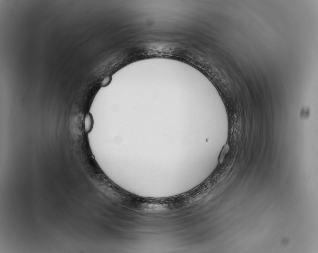 X0000102820649200809151016