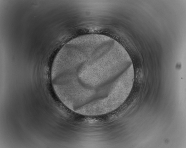 X0000102820650200809151016