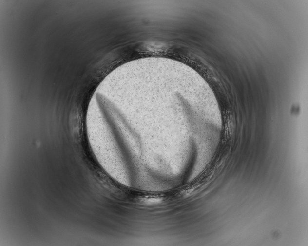 X0000102820651200809151016