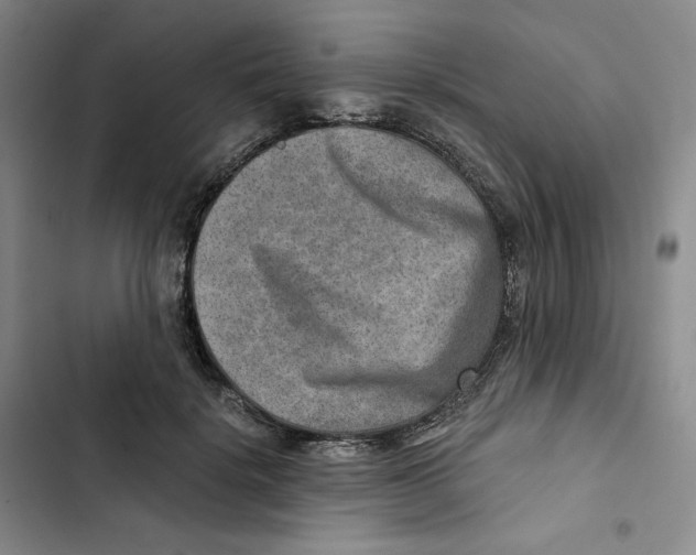 X0000102820652200809151016