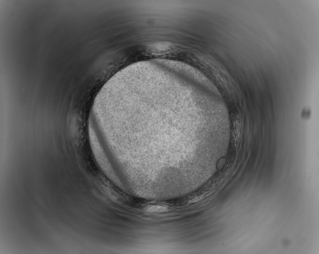X0000102820653200809151016