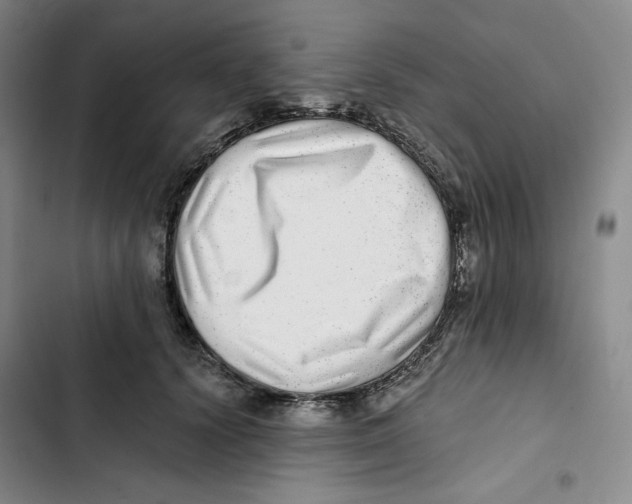X0000102820656200809151016