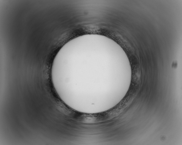 X0000102820658200809151016