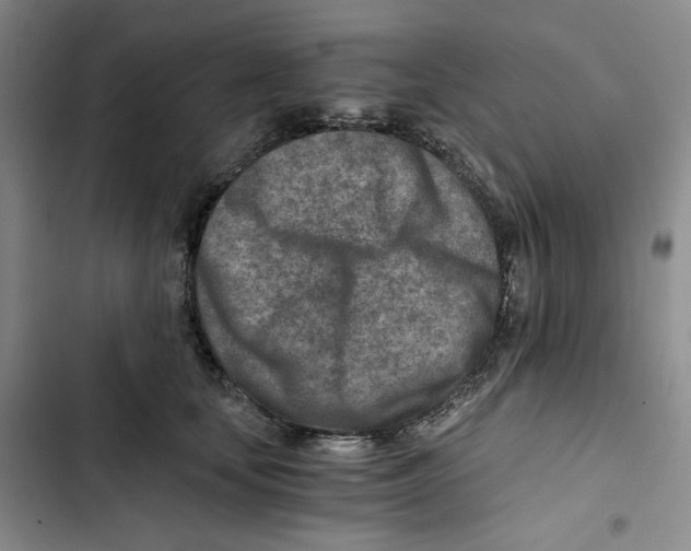 X0000102820659200809151016