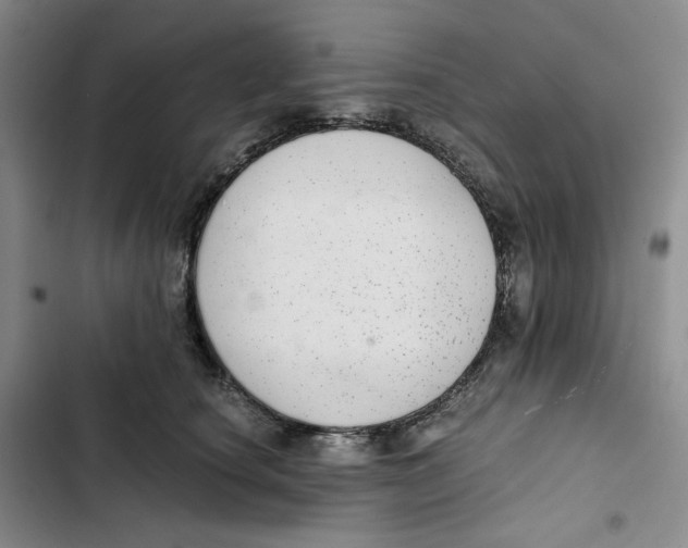 X0000102820660200809151016