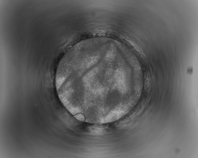 X0000102820661200809151016