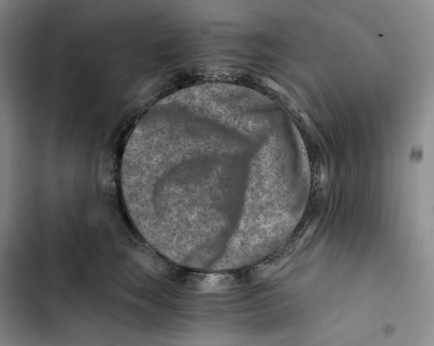 X0000102820663200809151016