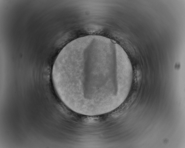 X0000102820664200809151016