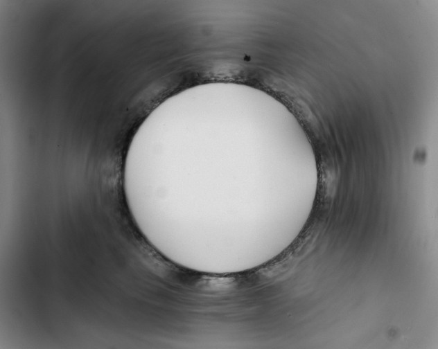 X0000102820665200809151016