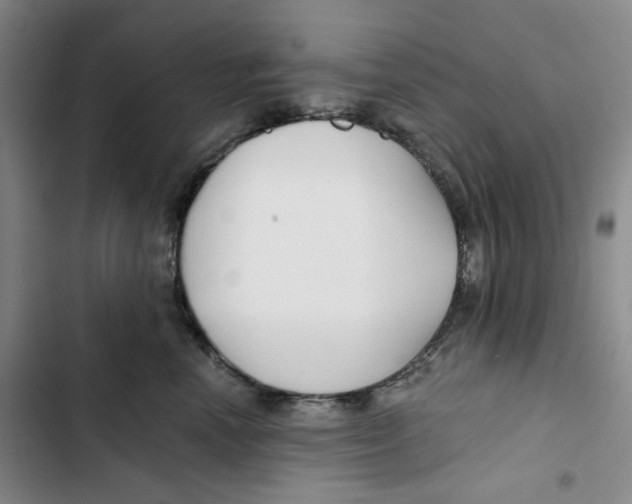 X0000102820666200809151016