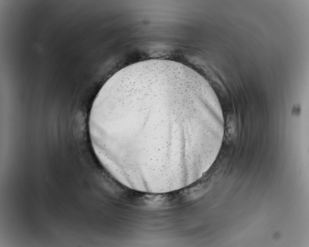 X0000102820667200809151016