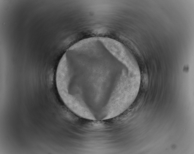 X0000102820668200809151016