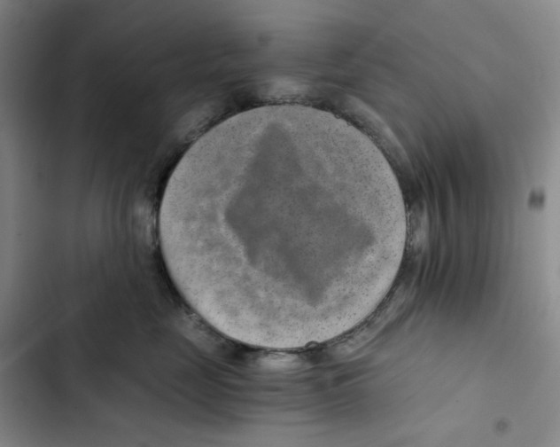X0000102820669200809151016