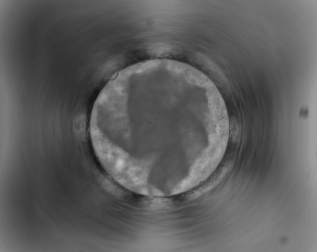 X0000102820670200809151016
