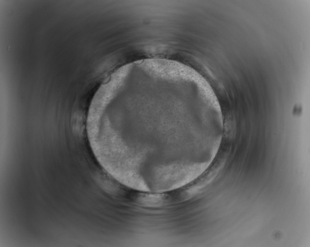 X0000102820671200809151016