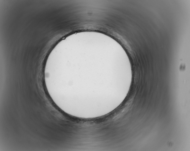 X0000102820673200809151016