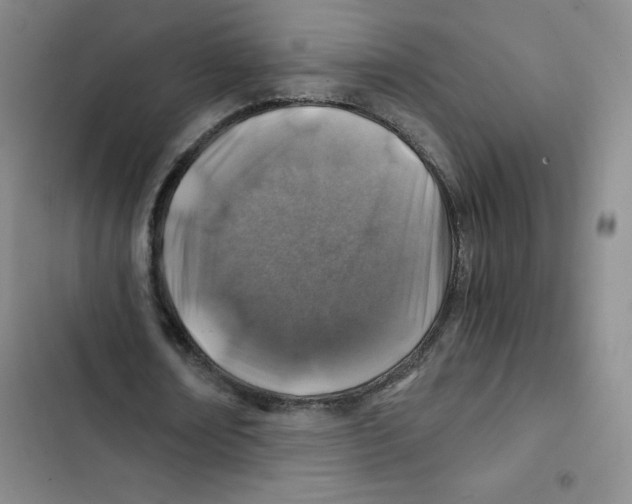 X0000102820674200809151016