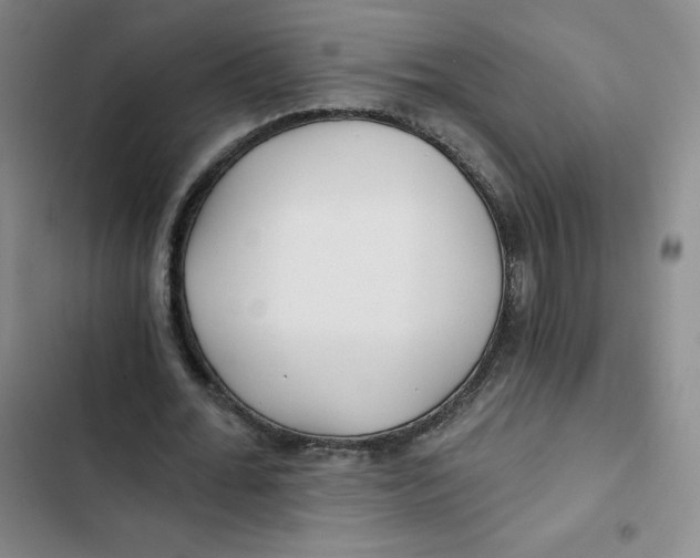X0000102820676200809151016