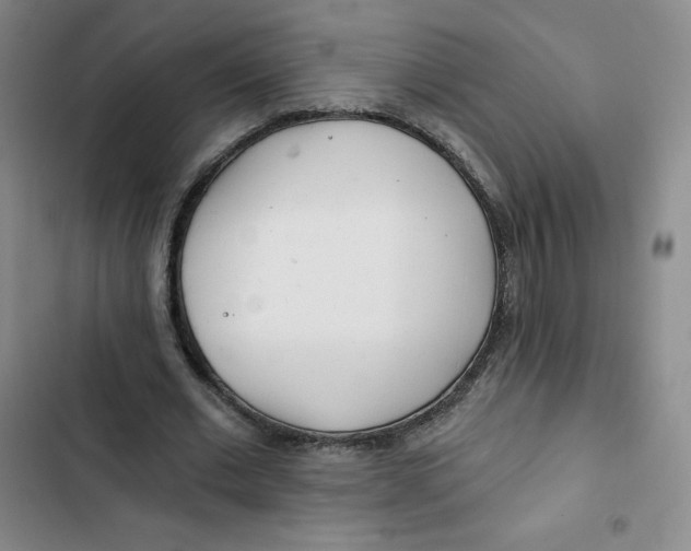X0000102820677200809151016