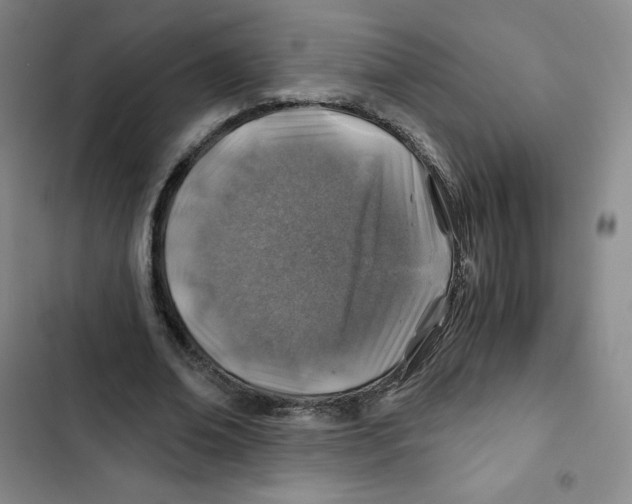 X0000102820678200809151016