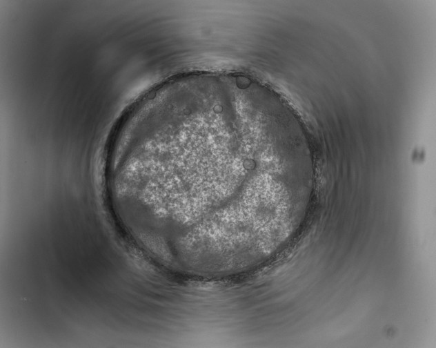 X0000102820679200809151016