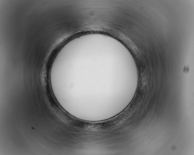 X0000102820680200809151016