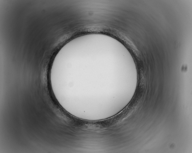 X0000102820681200809151016