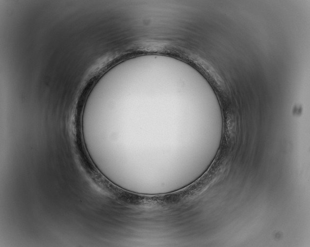 X0000102820682200809151016