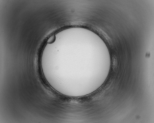 X0000102820684200809151016