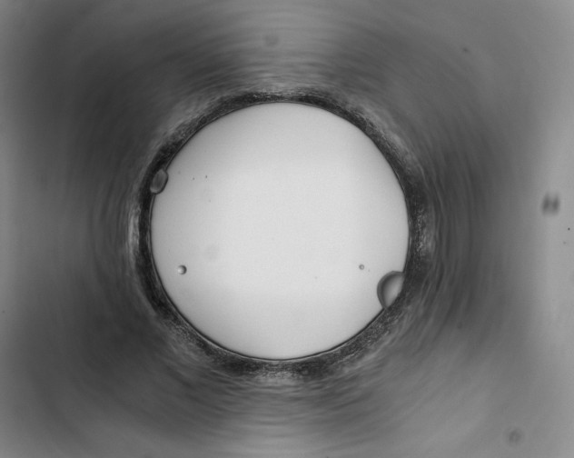 X0000102820685200809151016