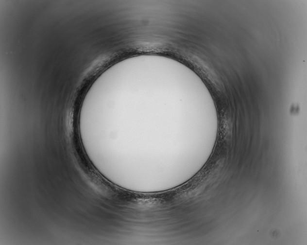 X0000102820686200809151016